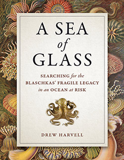 A Sea of Glass, by Drew Harvell