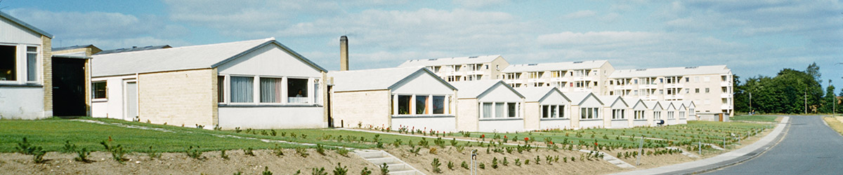 One-story residences and landscaping in Søvangen, Aarhus, Denmark